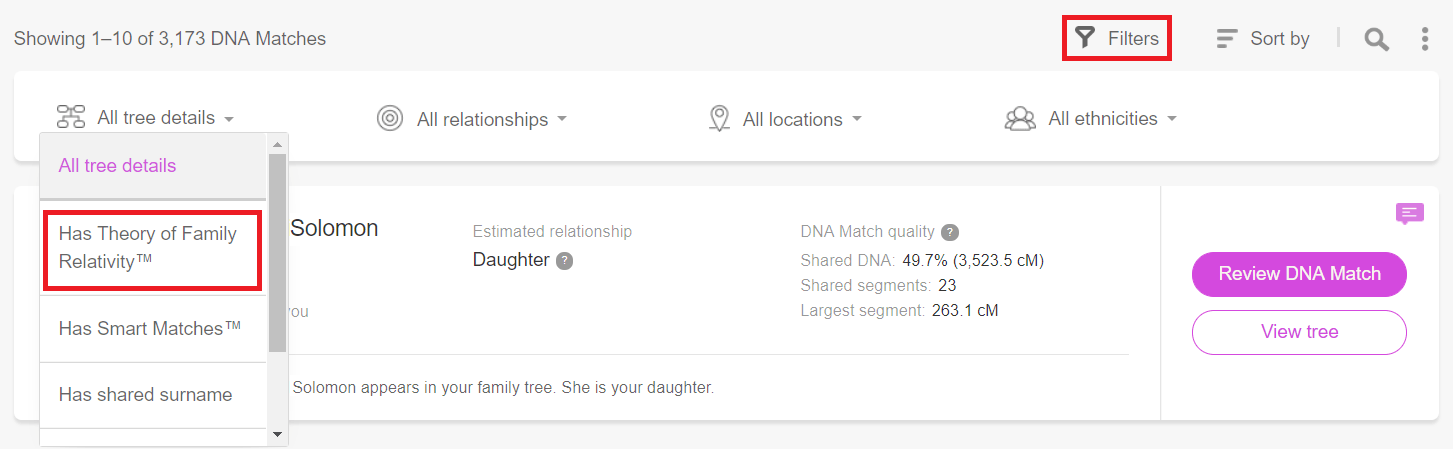 Filtering DNA Matches to see all matches that have a theory (Click to zoom)