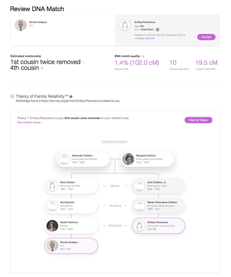 Summarized theory view in the Review DNA Match page (Click to zoom)