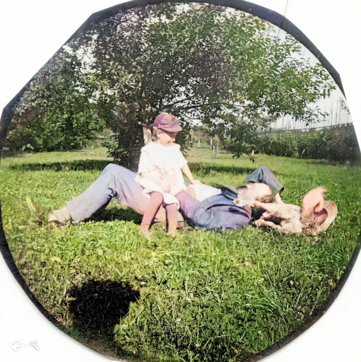 Un enfant joue assis sur son père alors que celui-ci est allongé dans l'herbe et caresse leur chien, près de sa tête