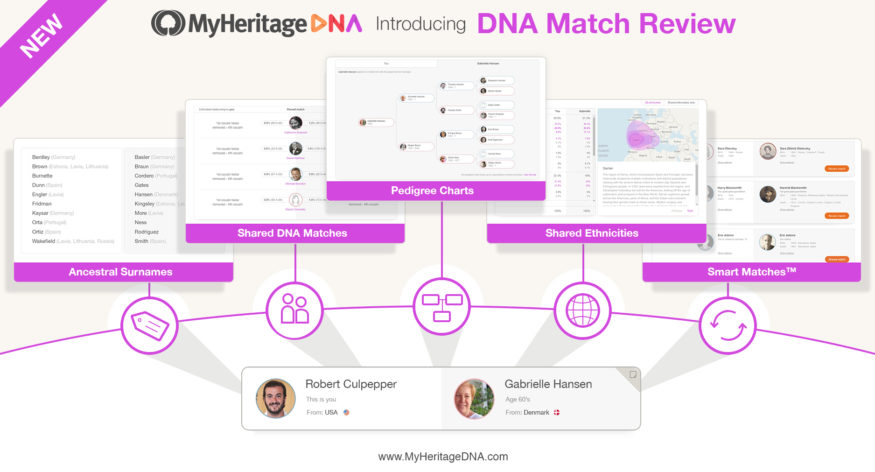 Dna Kit Comparison Chart