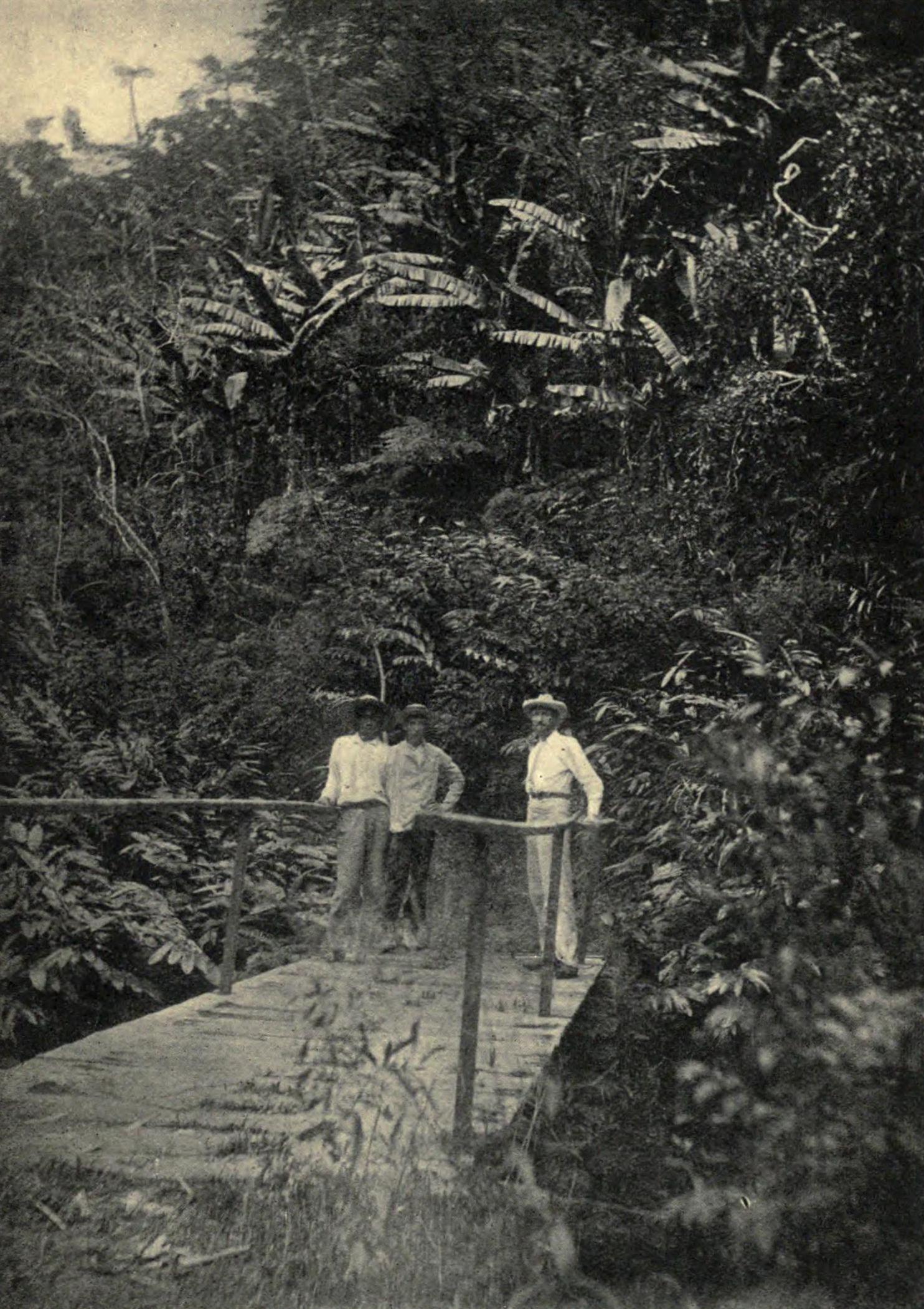 Clement Lindley Wragge on a bridge over a rivulet in Tahiti