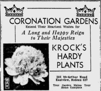 Anzeige für Krock's Hardy Plants. Quelle: MyHeritage Zeitungssammlung