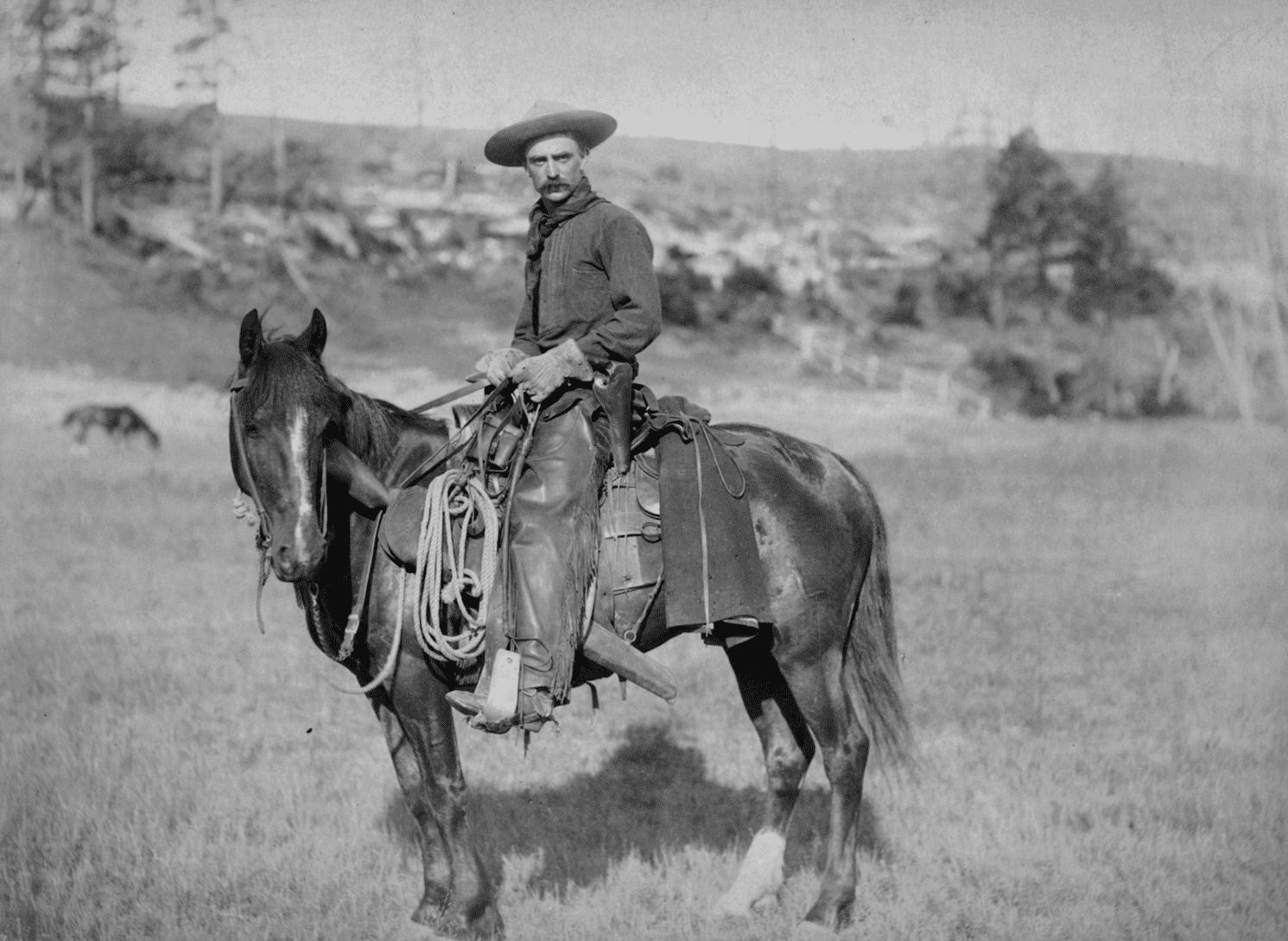 Le Cow Boy – Sturgis, Territoire du Dakota (actuel Dakota du Sud), 1888. Photographe : John C. H. Grabill, Bibliothèque du Congrès