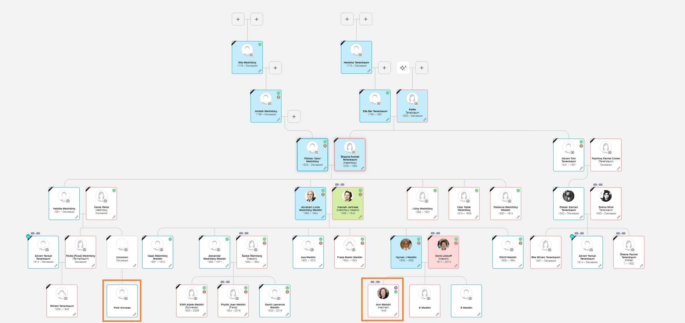 Ann's family tree with Ann and Shalom (Piotr/Petro Korczak) highlighted
