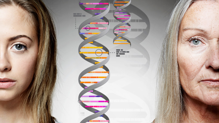 Guest Post: Introduction to Genetic Genealogy