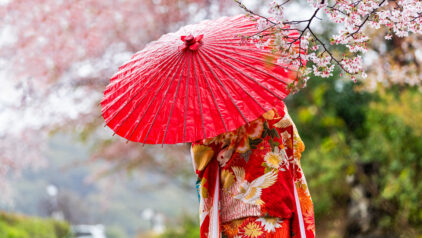 Being Japanese: Traditions and Genealogy