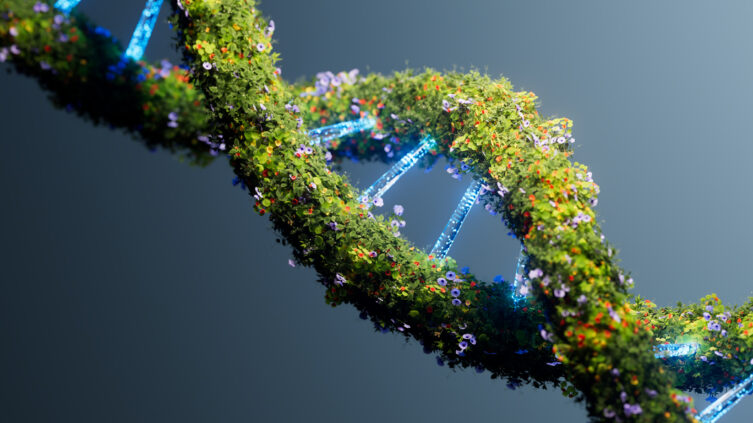 What DNA Tests Can Reveal about Ancestors and Heritage