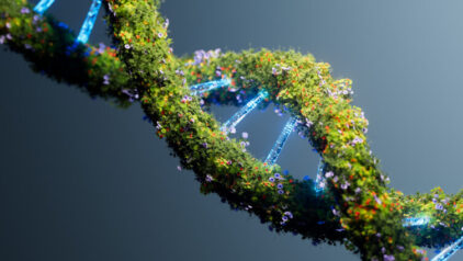 What DNA Tests Can Reveal about Ancestors and Heritage