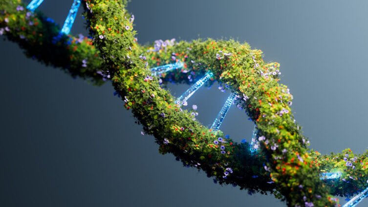 What DNA Tests Can Reveal about Ancestors and Heritage