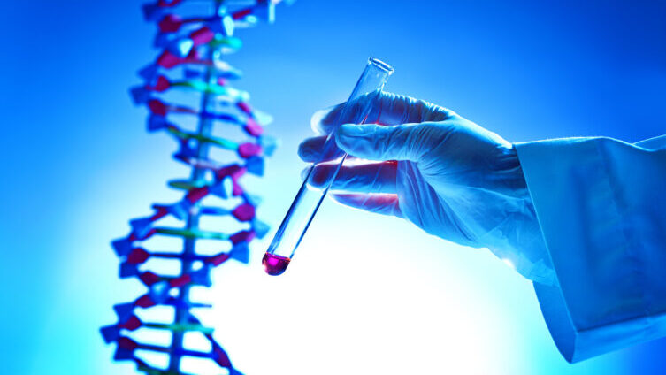 What is Admixture in Genetic Genealogy?