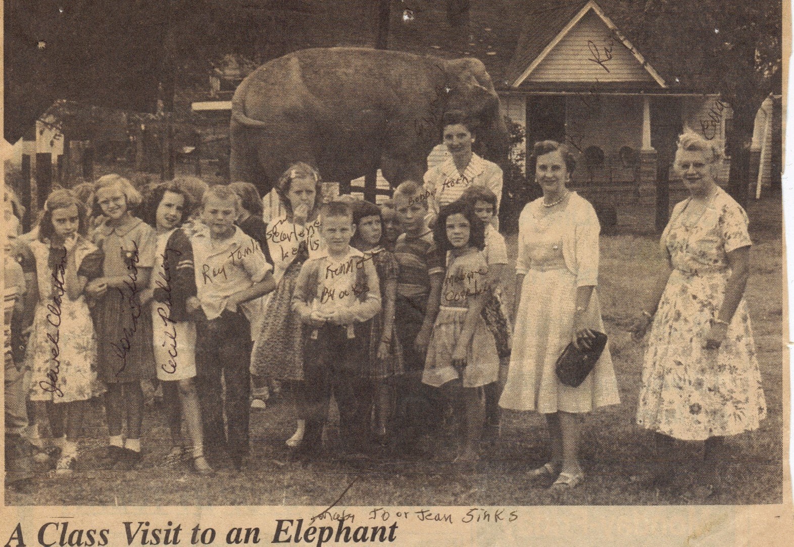 Houston County, TN class visits the circus and the elephants