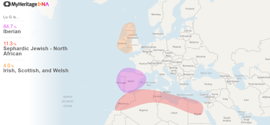 Luis’ MyHeritage ethnicity results