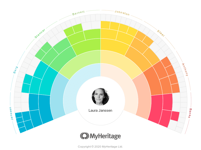 MyHeritage Fan View Color mode