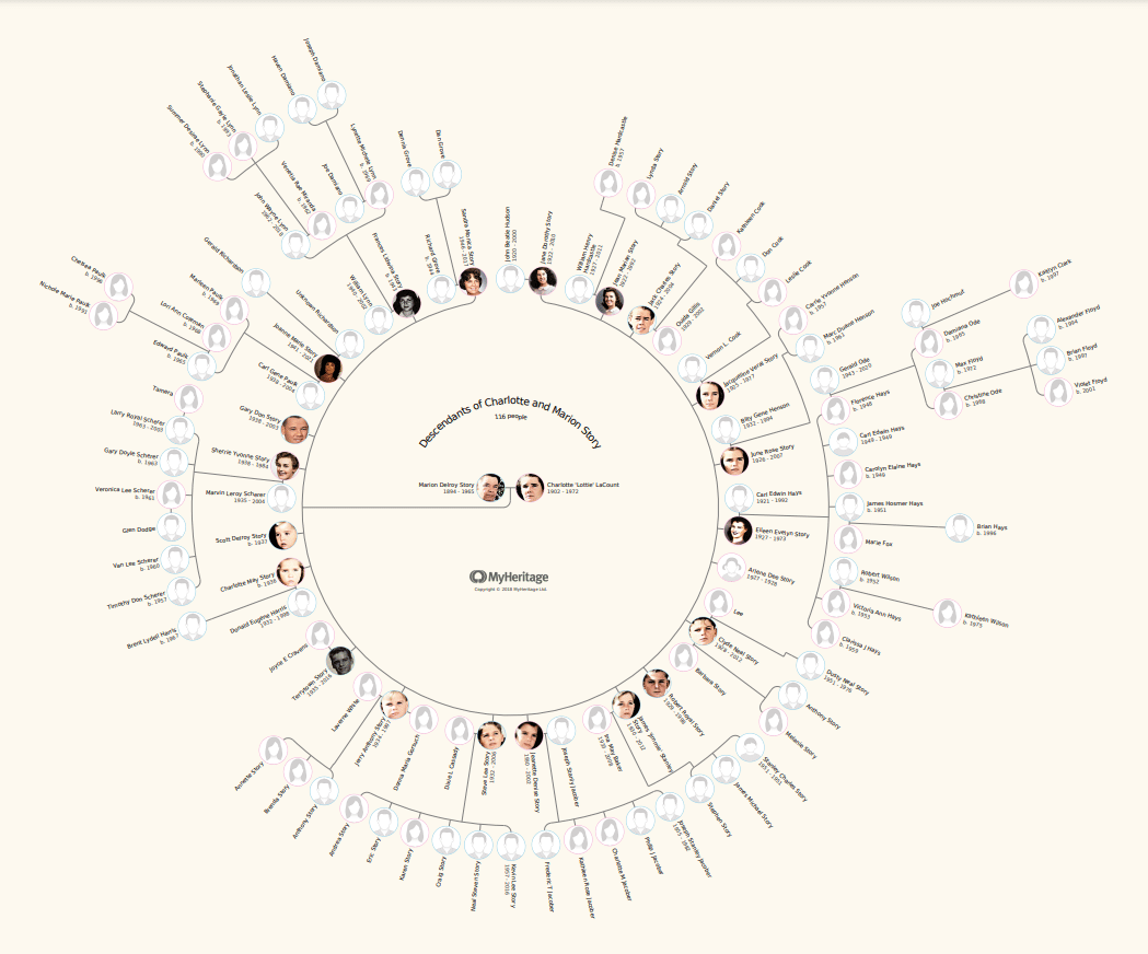 The family tree of Charlotte and Marion Story