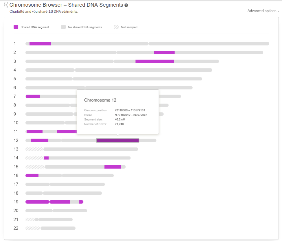One-to-One Chromosome Browser in the DNA Match Review page (click to zoom)