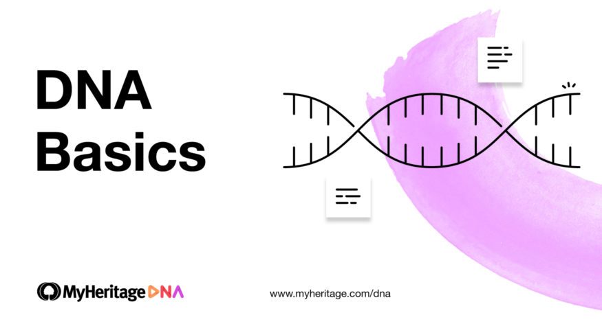 DNA Basics Chapter 11: What is Genetic Genealogy?