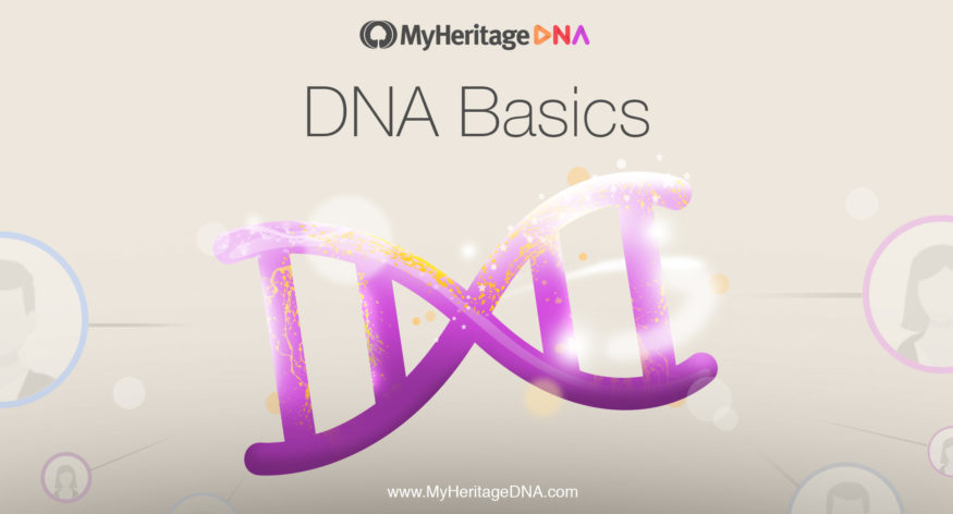 DNA Basics Chapter 1: A New Blog Series