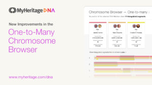 New: Improvements in the One-to-Many Chromosome Browser