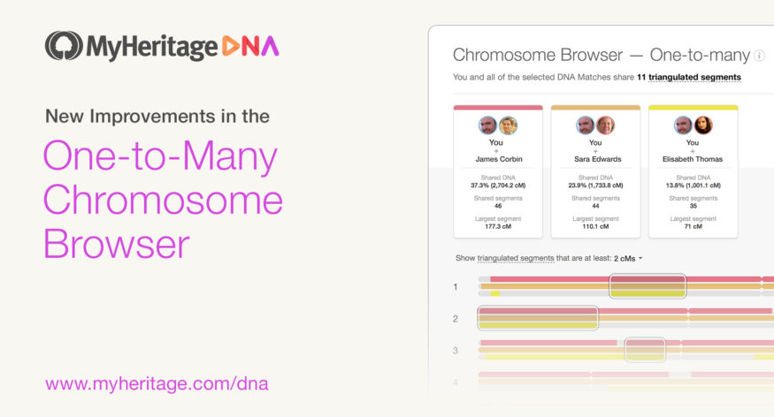 New: Improvements in the One-to-Many Chromosome Browser