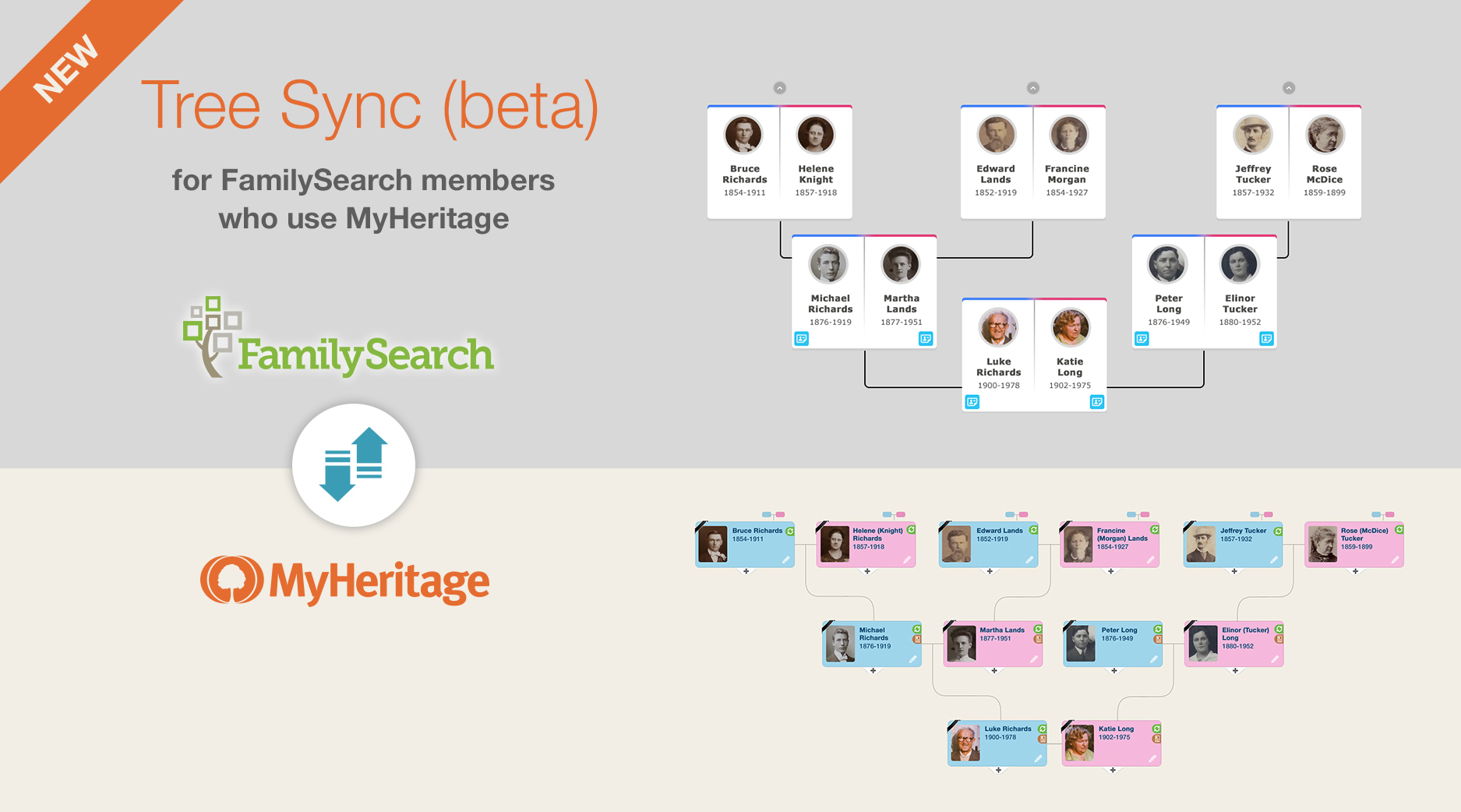 New FamilySearch Tree  Sync beta allows FamilySearch 