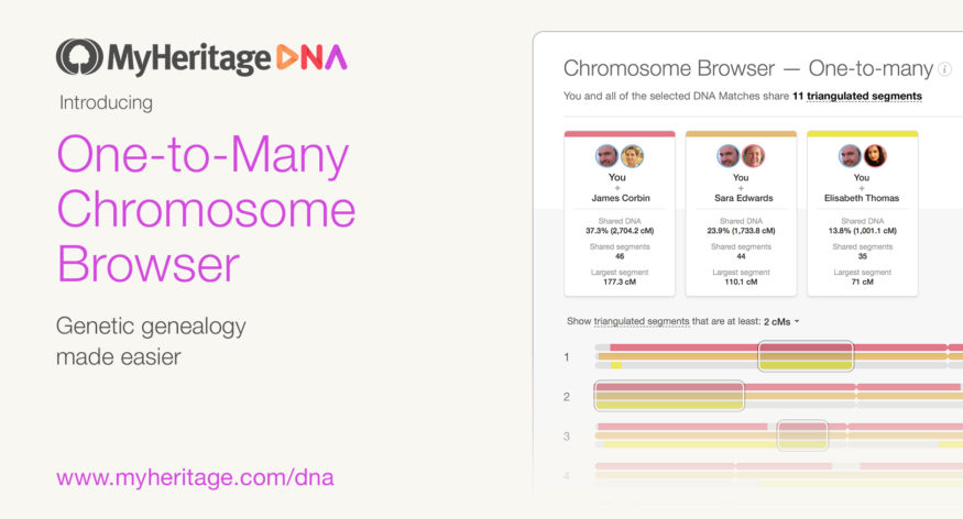 Major Upgrade to the MyHeritage Chromosome Browser for Better Exploration of DNA Matches