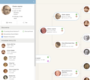 New Feature: Pedigree View for Family Trees - MyHeritage Blog