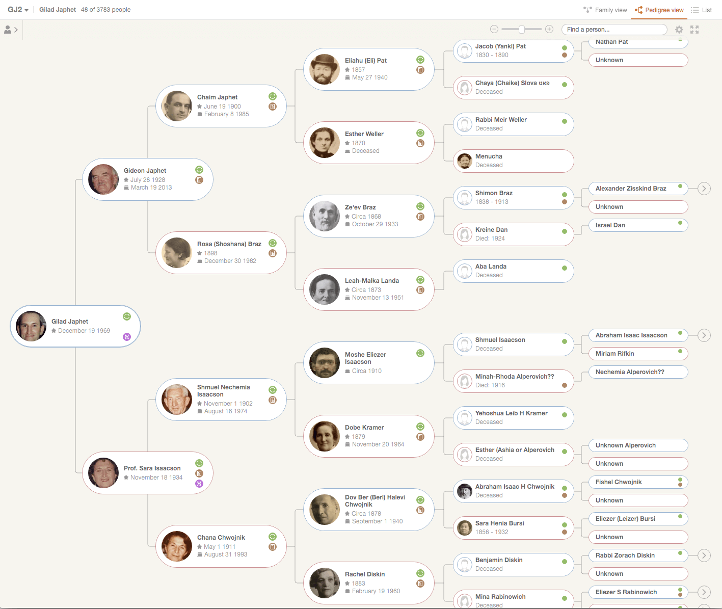 Family tree in Pedigree view mode – this example comes from the family tree of MyHeritage’s founder