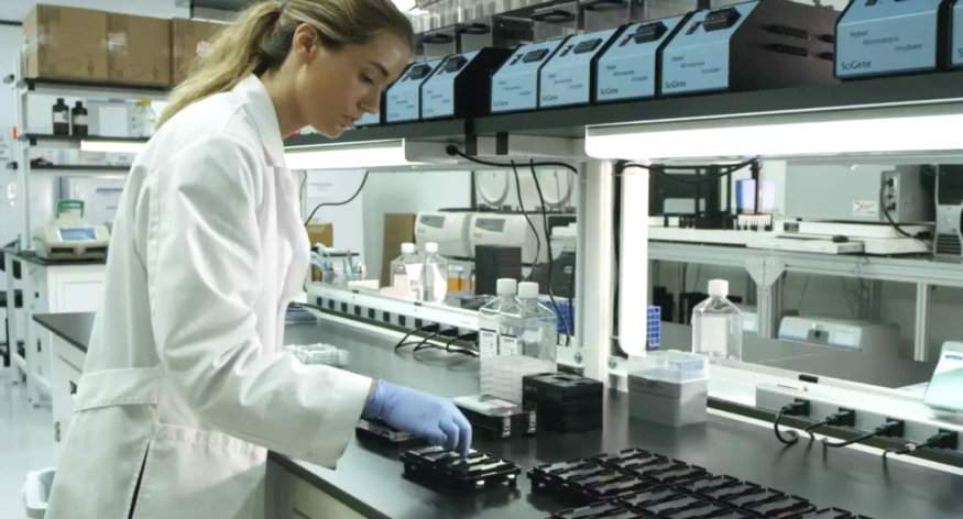 [Watch] This is what happens to your DNA at the lab