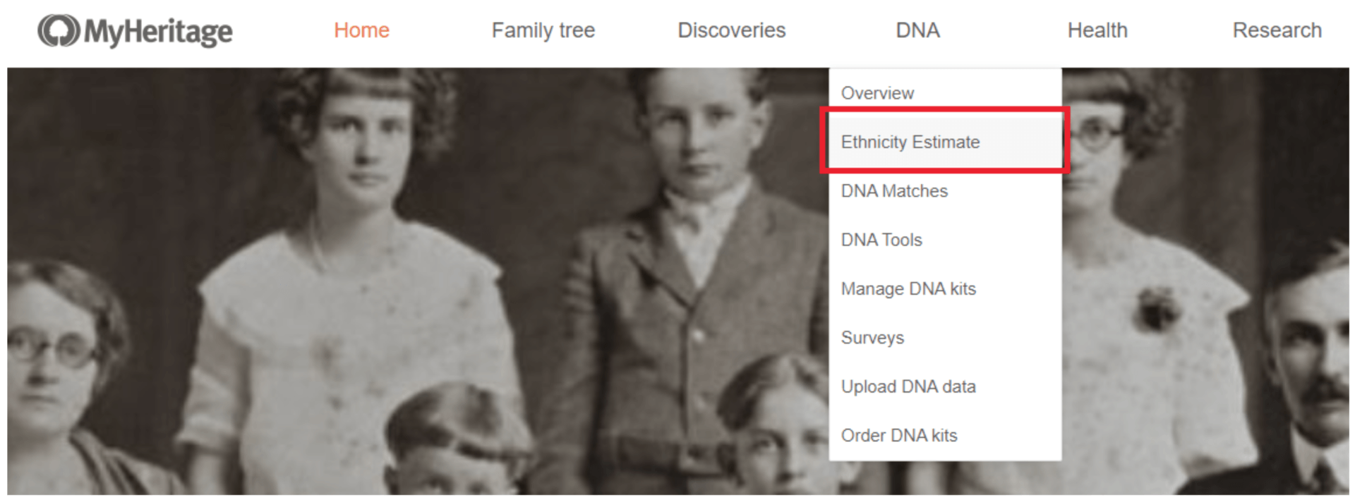 Auf die genetischen Gruppen auf MyHeritage zugreifen
