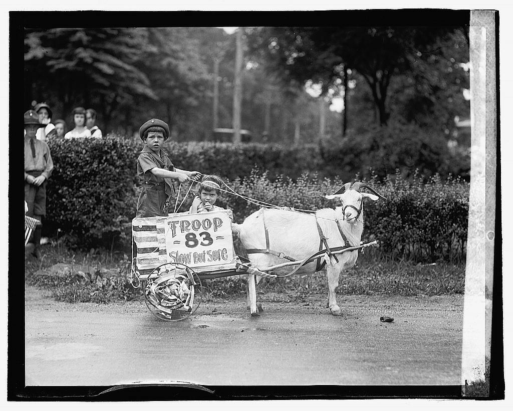 A goat pulls young boys in a cart at the Takoma Festival in Takoma Park, Maryland, on July 4, 1922. Courtesy of the Library of Congress