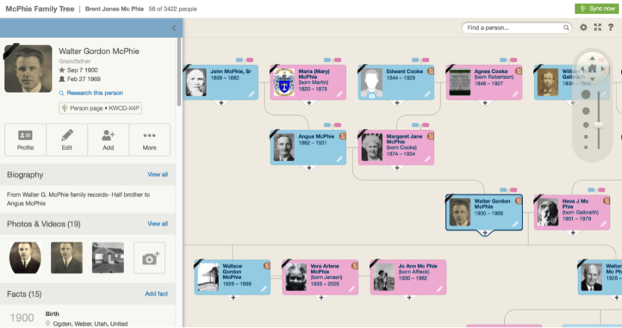 The same example tree imported from FamilySearch to MyHeritage. Note the “Sync now” button in the top right