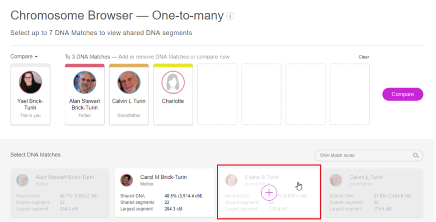 Selectie van DNA-matches om met de hoofdpersoon te vergelijken (klik om te vergroten)