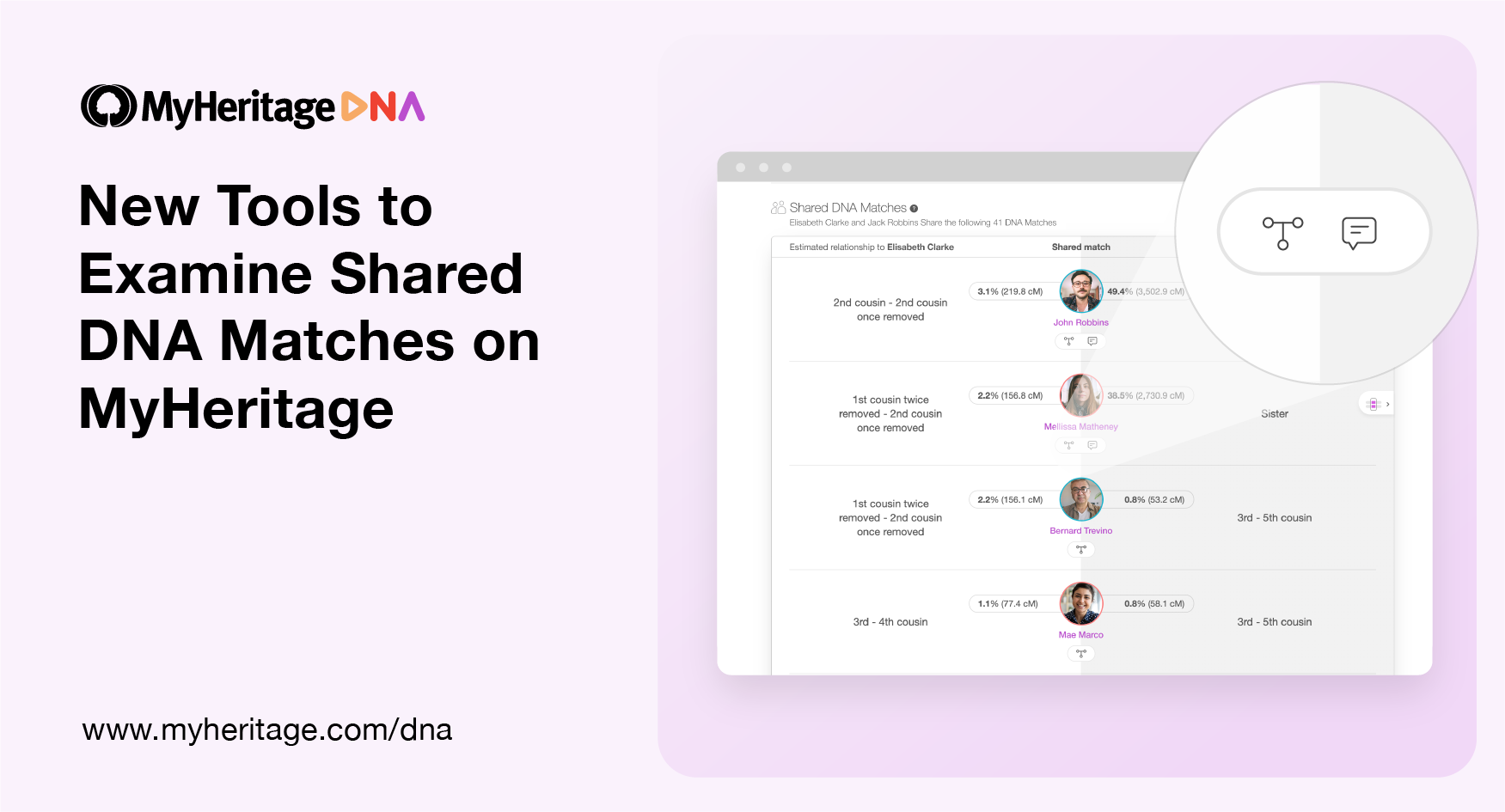 New Tools to Examine Shared DNA Matches on MyHeritage