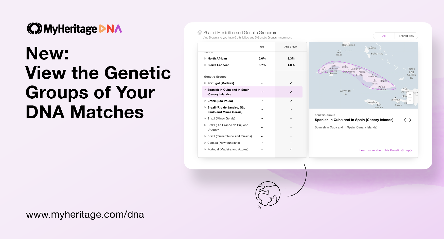 NEW: MyHeritage DNA tests for genealogy! - MyHeritage Blog