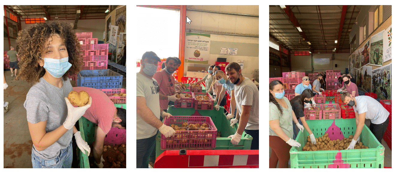 MyHeritage employees volunteered with the Leket organization. They helped pack leftovers, preventing good food from being thrown away and preparing it for delivery to needy families