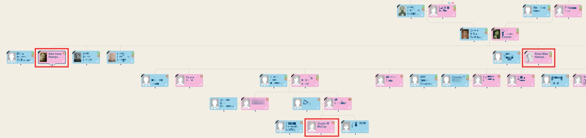 The Shaw Family Tree on MyHeritage (Click to zoom)