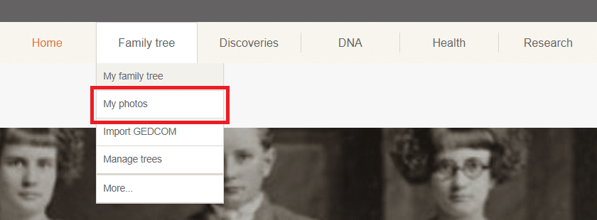Accessing your photos on MyHeritage