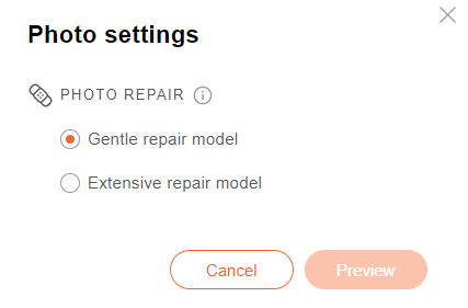 Photo settings panel, for selecting a repair model.