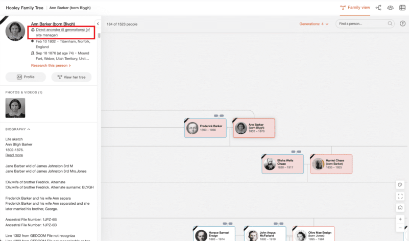 Introducing Color Coding for Family Trees - MyHeritage Blog