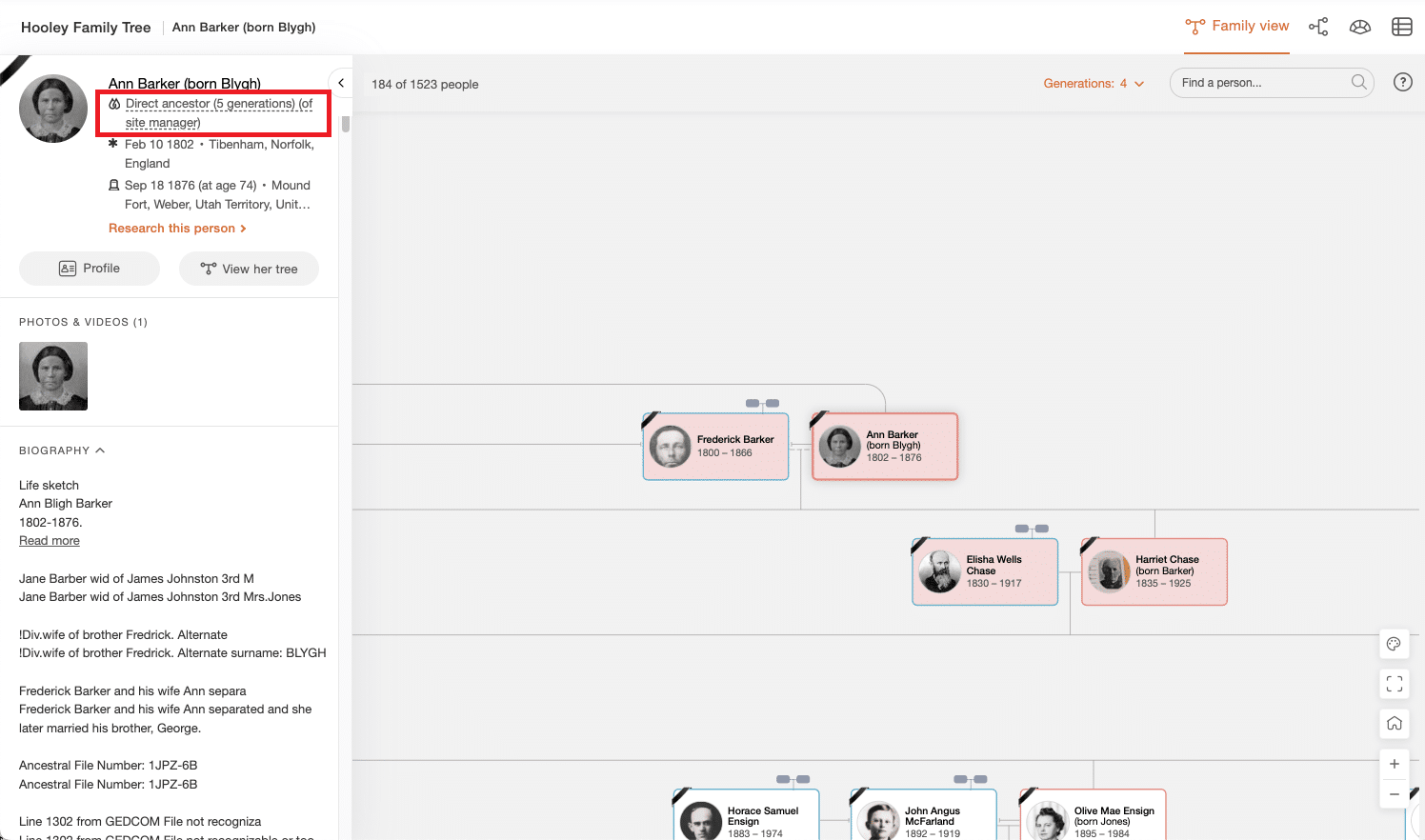 Profilpanelet viser relasjonen til eieren av nettstedet (klikk for å forstørre)