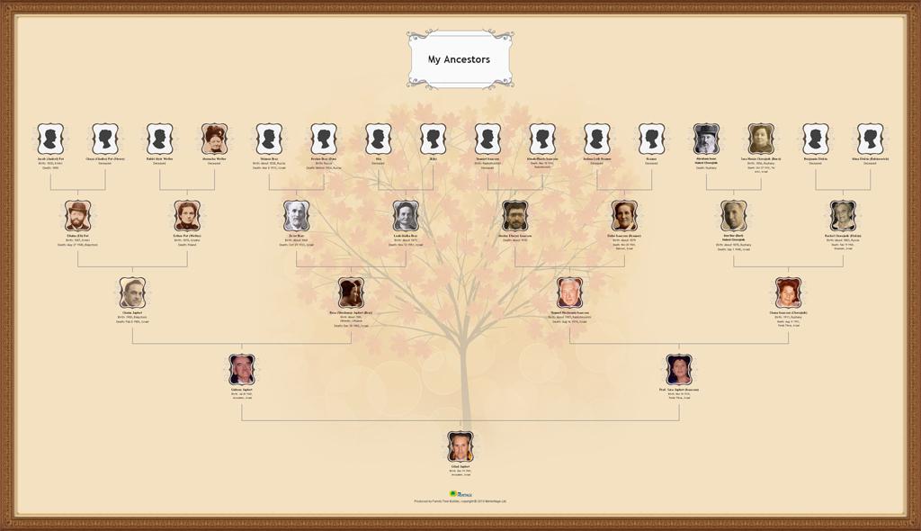Choose your favorite family tree chart style