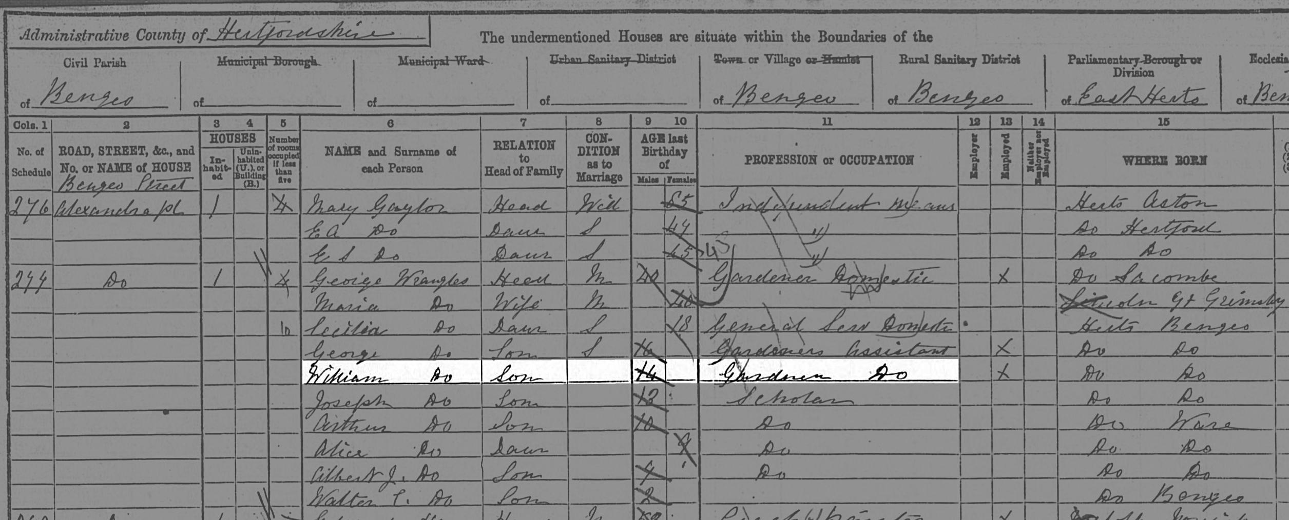 4. Original 1891 UK census record from WorldVitalRecords