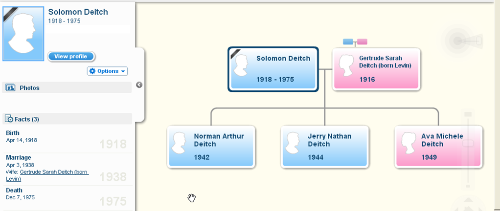 Gilad's family tree - Gertrude and Solomon (click to zoom)