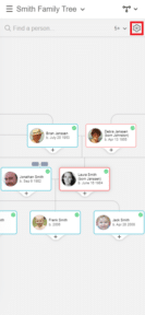 Introducing Color Coding for Family Trees - MyHeritage Blog