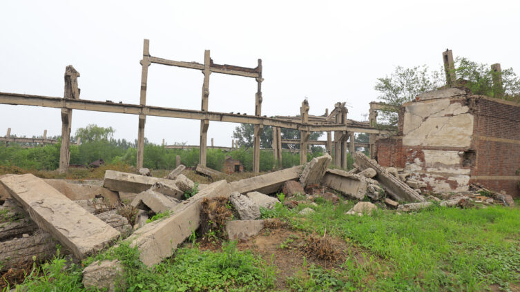 How the Tangshan Earthquake Reshaped Family Histories and Migration