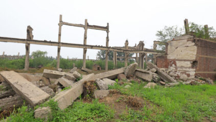 How the Tangshan Earthquake Reshaped Family Histories and Migration